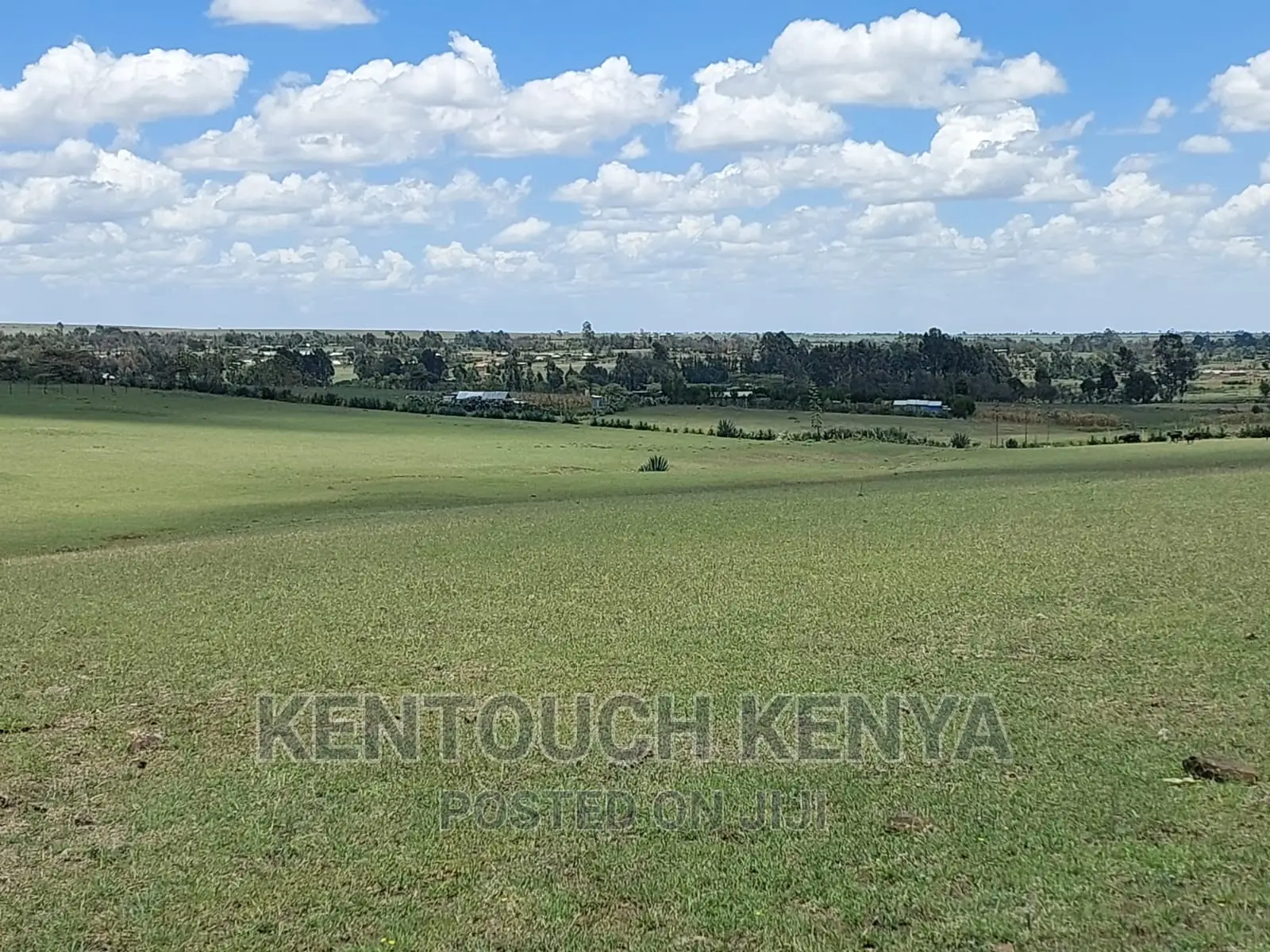 Plots for Sale at Wiyumiririe Makutano (Joswin Academy))