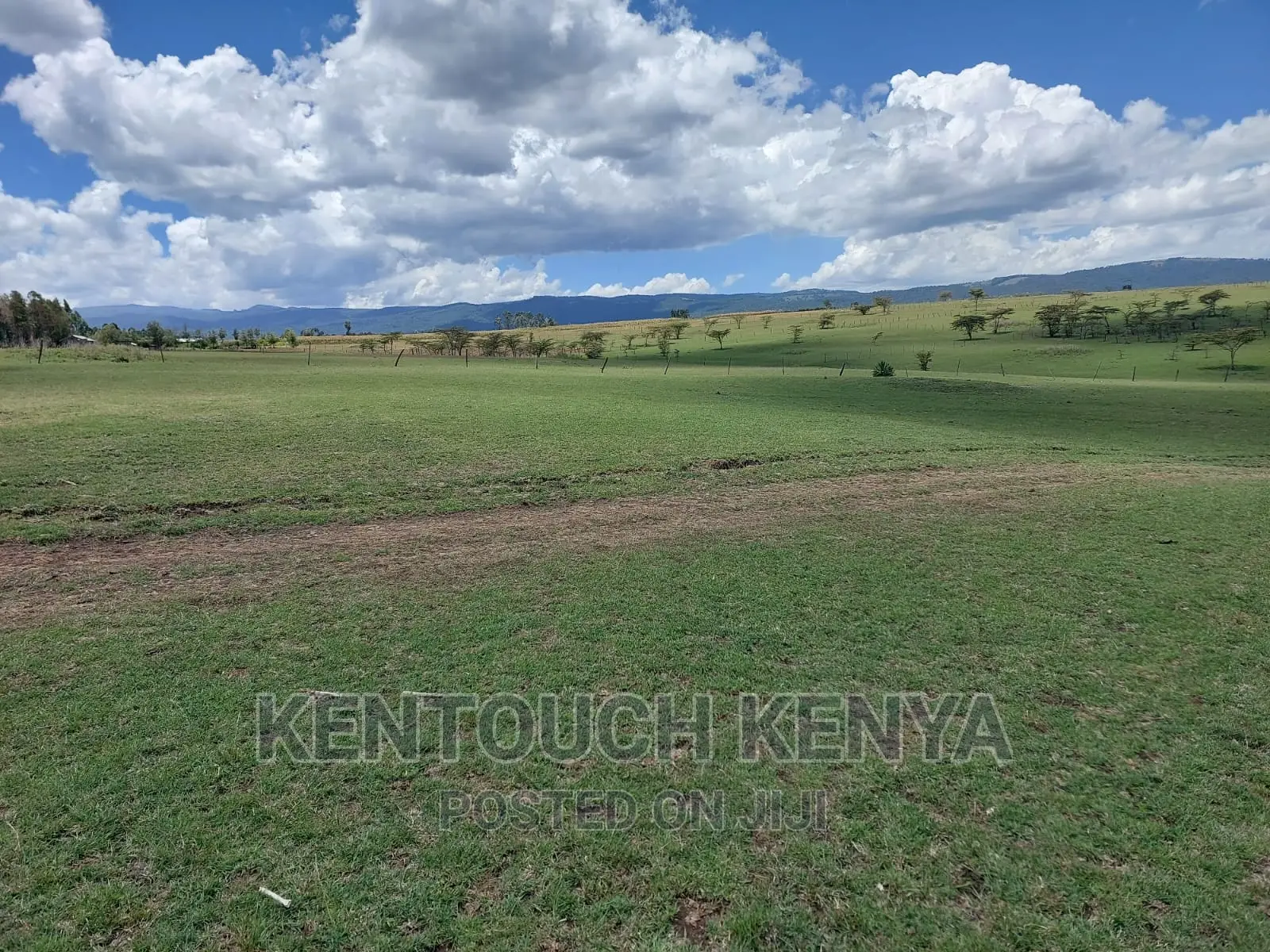 Plots for Sale at Wiyumiririe Makutano (Joswin Academy))