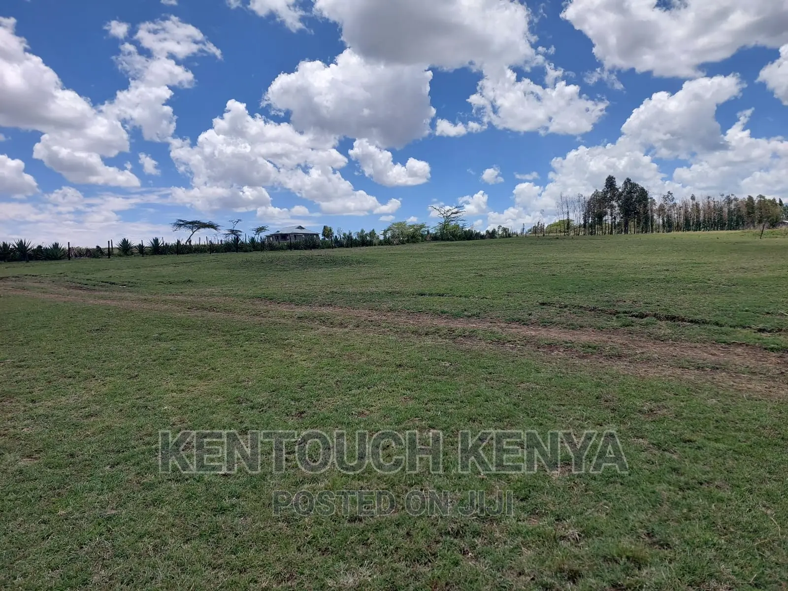 Plots for Sale at Wiyumiririe Makutano (Joswin Academy))