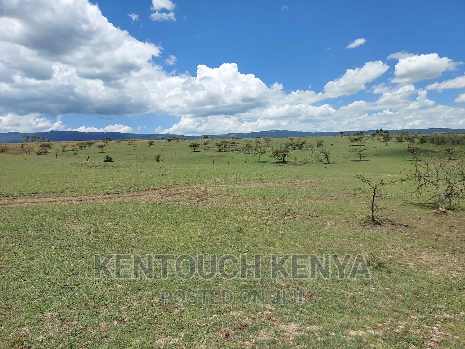 Plots for Sale at Wiyumiririe Makutano (Joswin Academy))