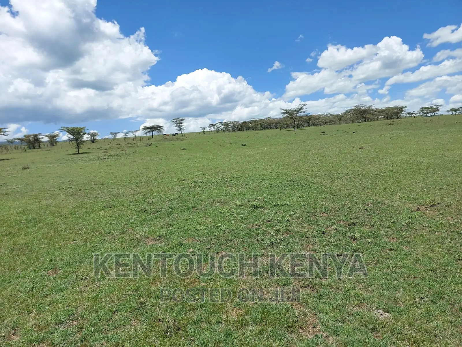Plots for Sale at Wiyumiririe Makutano (Joswin Academy))