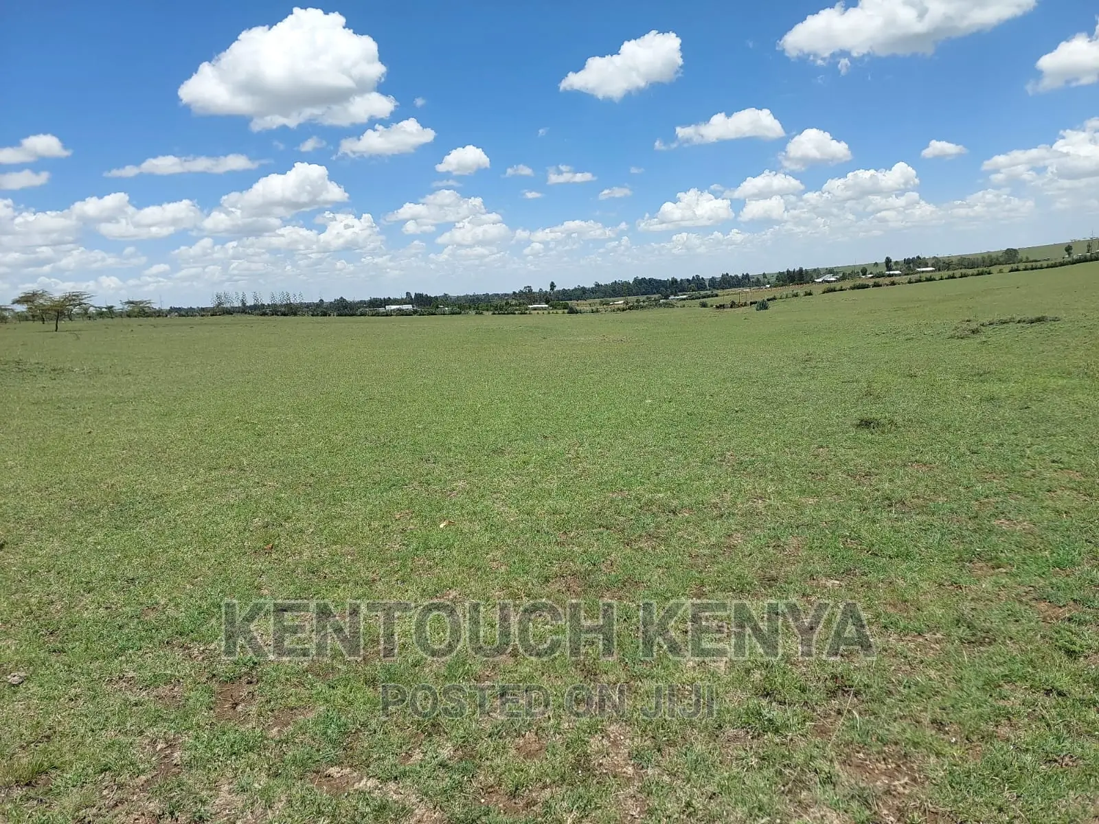 Plots for Sale at Wiyumiririe Makutano (Joswin Academy))