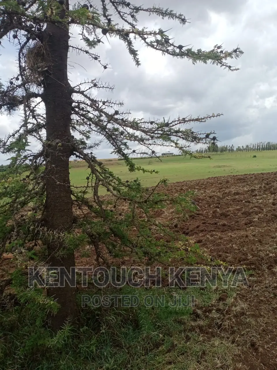 Plots for Sale at Wiyumiririe Makutano (Joswin Academy))