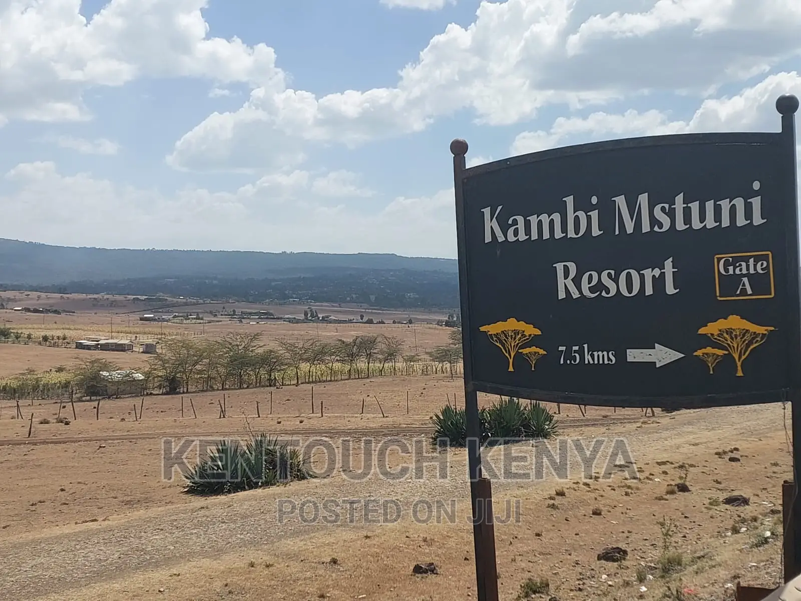 Plots for Sale at Wiyumiririe Makutano (Joswin Academy))
