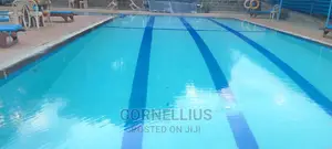 Swimming Pool Cleanings