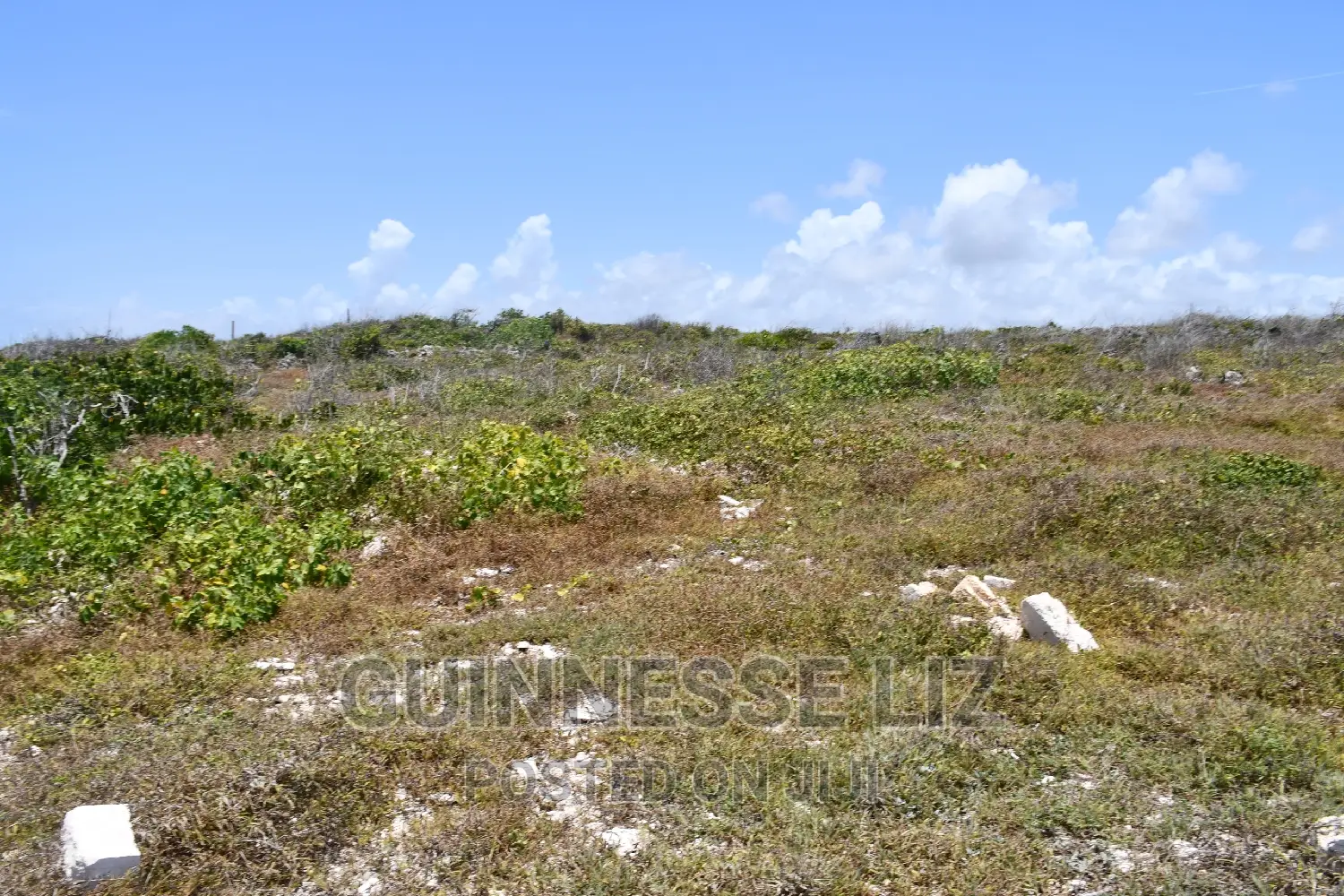 One Acre Coral Rock Land for Sale (Shamba La Mawe)