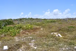 One Acre Coral Rock Land for Sale (Shamba La Mawe)