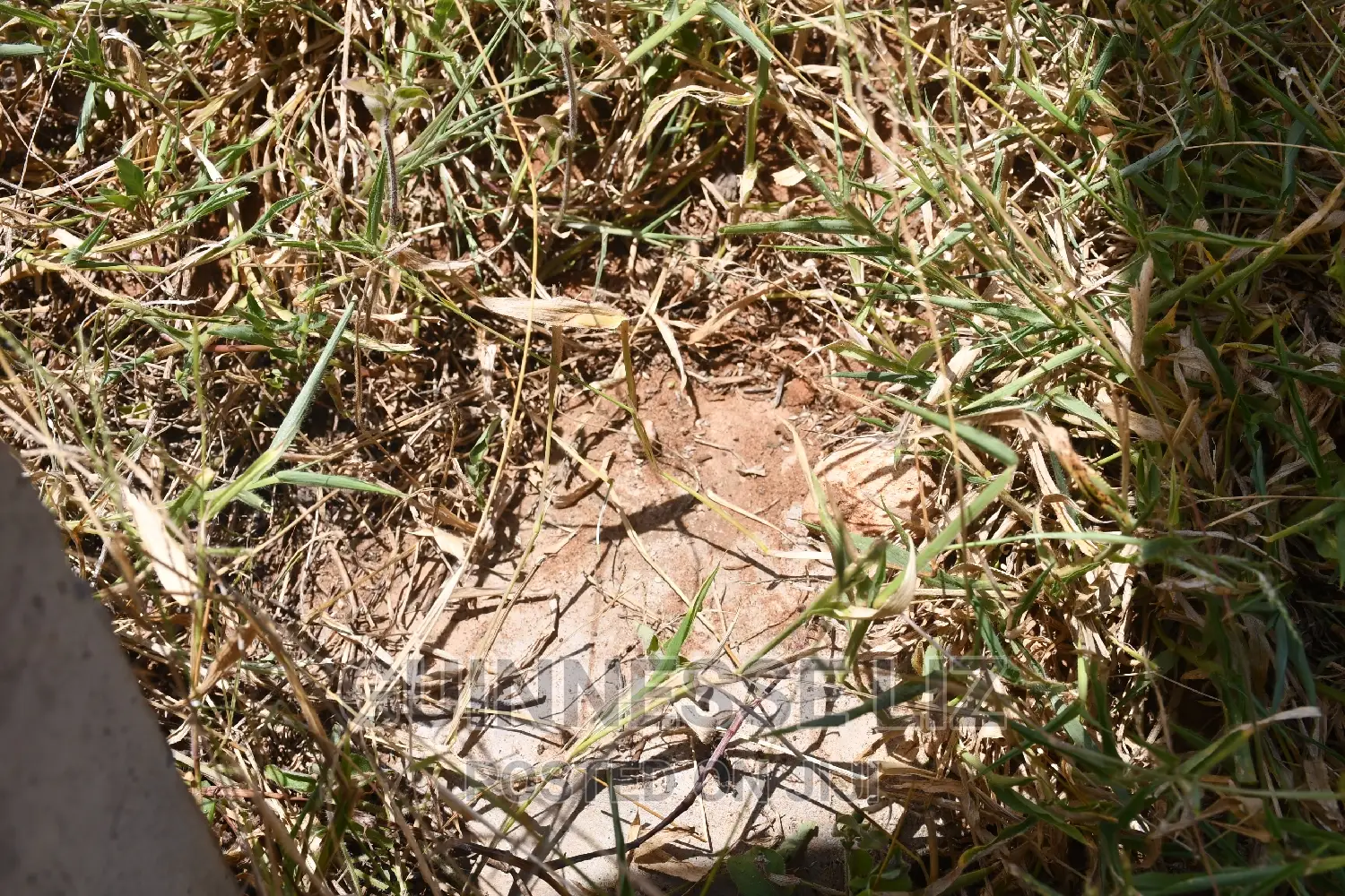One Acre Coral Rock Land for Sale (Shamba La Mawe)