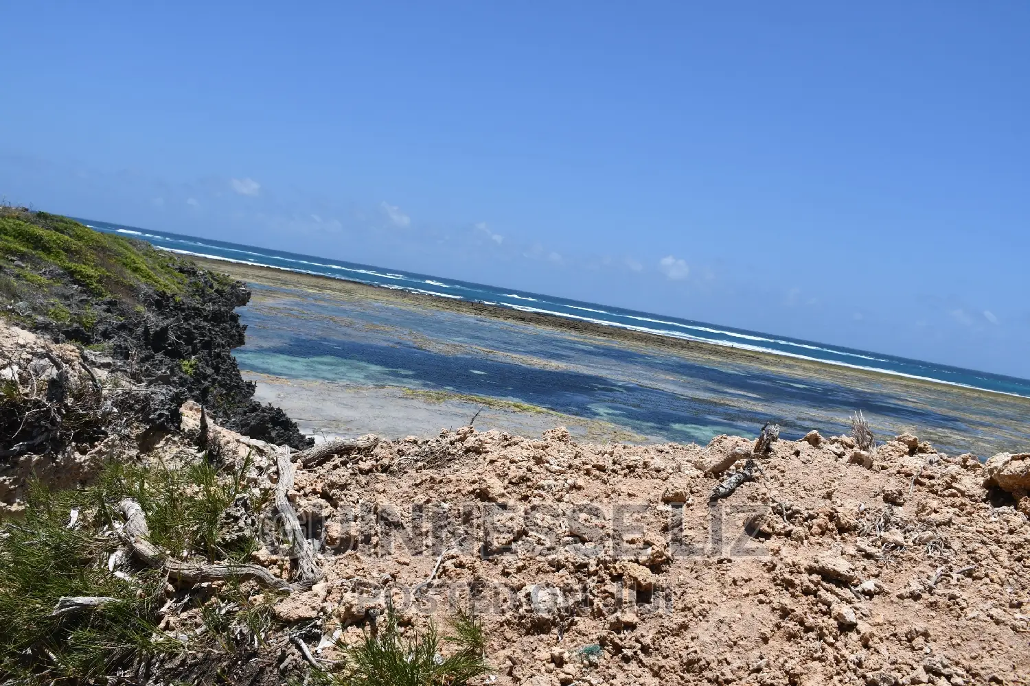 One Acre Coral Rock Land for Sale (Shamba La Mawe)