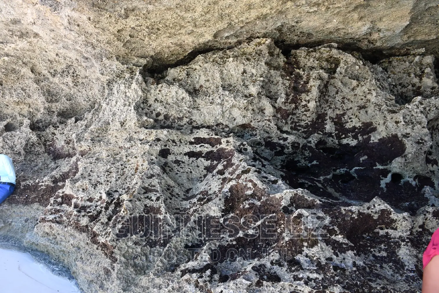 One Acre Coral Rock Land for Sale (Shamba La Mawe)