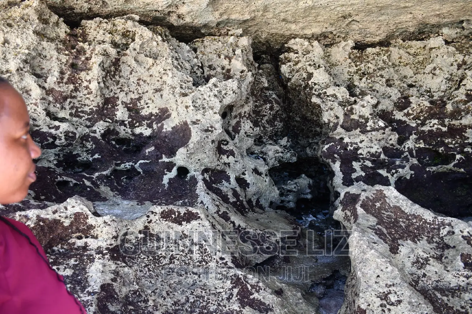 One Acre Coral Rock Land for Sale (Shamba La Mawe)
