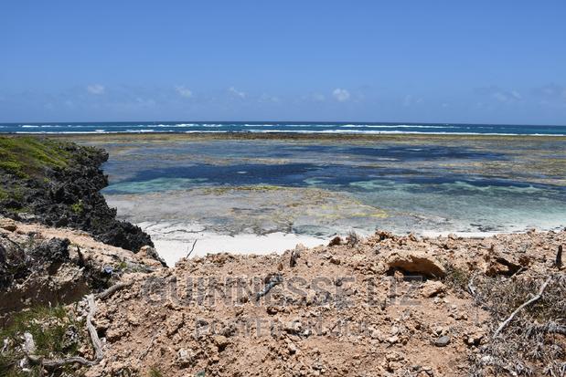 3rd Row 1 Acre Beach Land on Sale - thumbnail 2