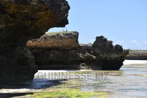 3rd Row 1 Acre Beach Land on Sale