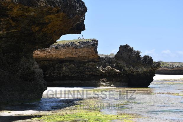 3rd Row 1 Acre Beach Land on Sale - thumbnail 5