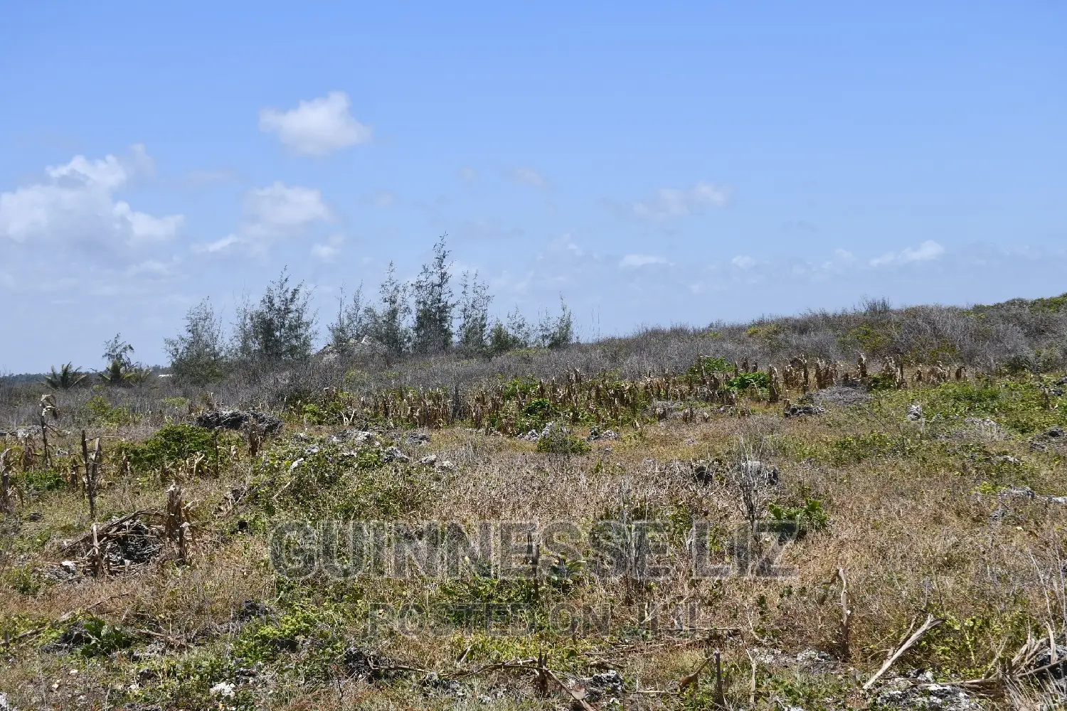 3rd Row 1 Acre Beach Land on Sale