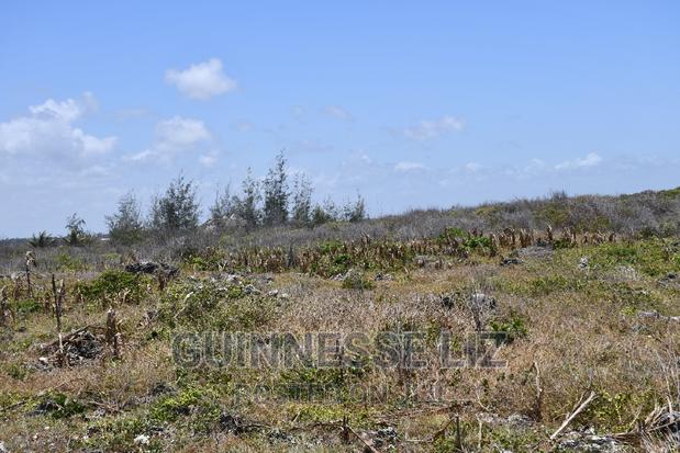 3rd Row 1 Acre Beach Land on Sale - thumbnail 9