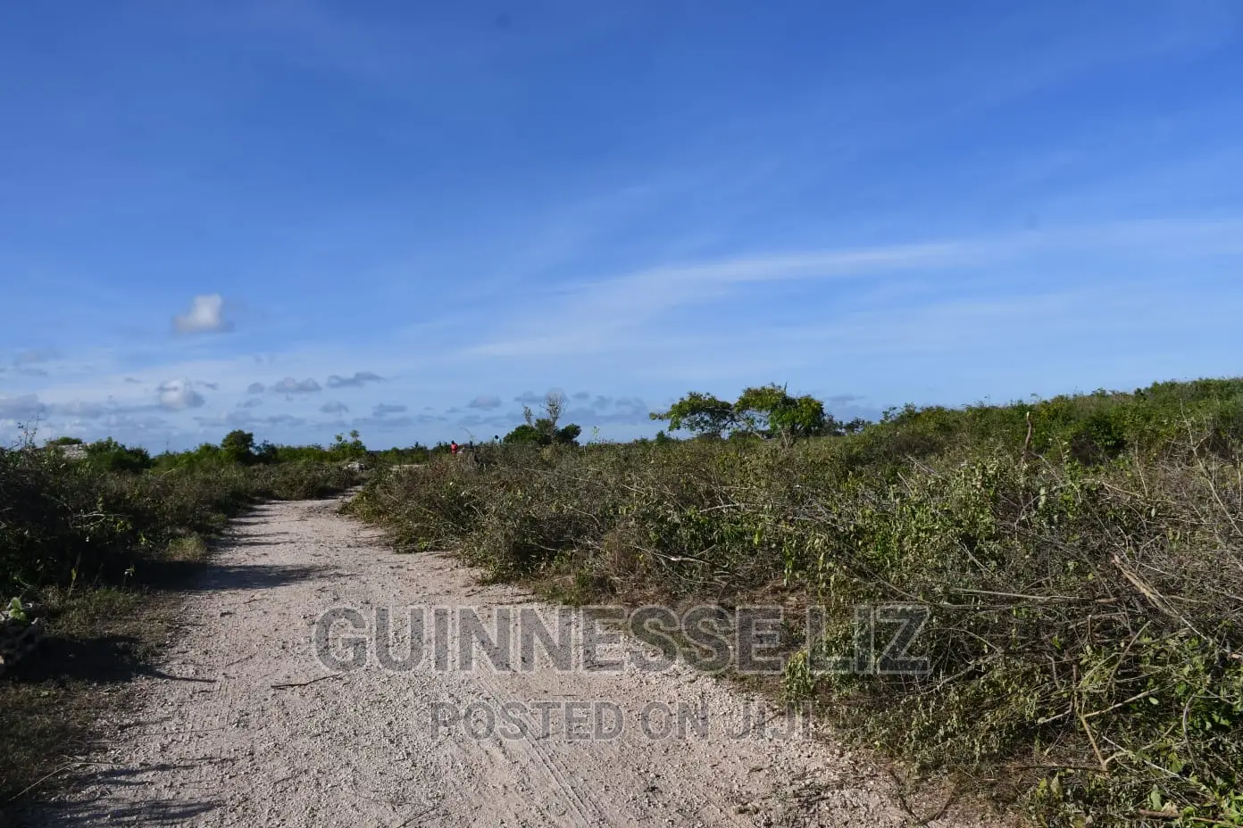 3rd Row 1 Acre Beach Land on Sale
