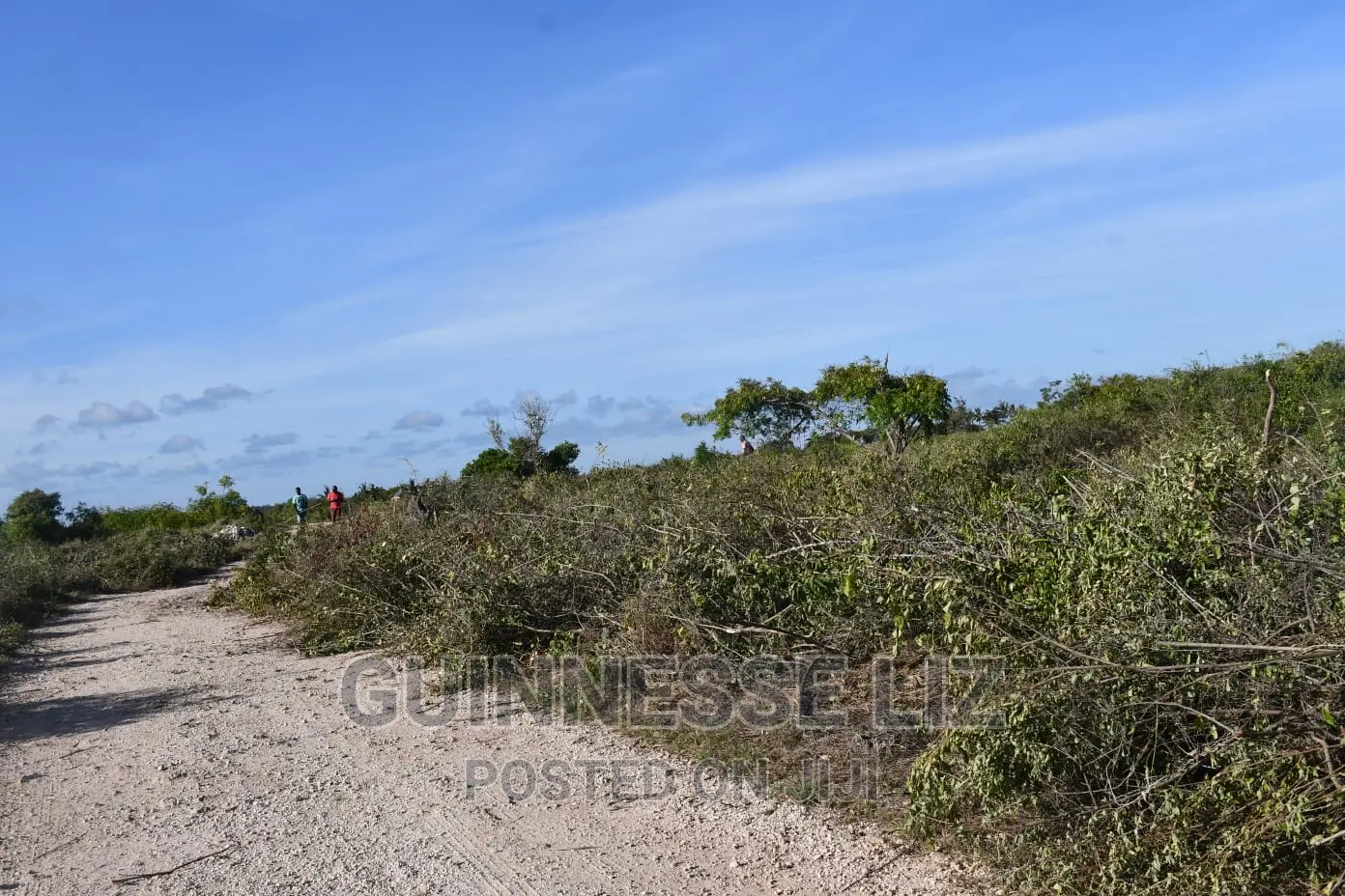 3rd Row 1 Acre Beach Land on Sale