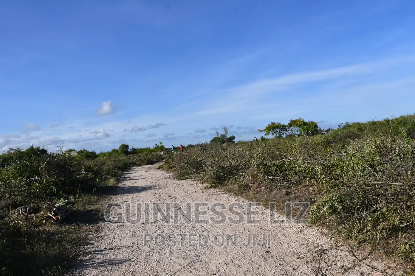 3rd Row 1 Acre Beach Land on Sale