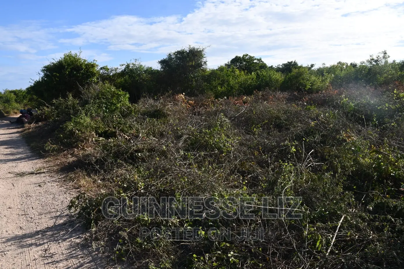 3rd Row 1 Acre Beach Land on Sale