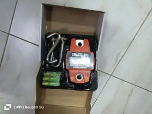 Digital Hanging Scale 300kg Crane