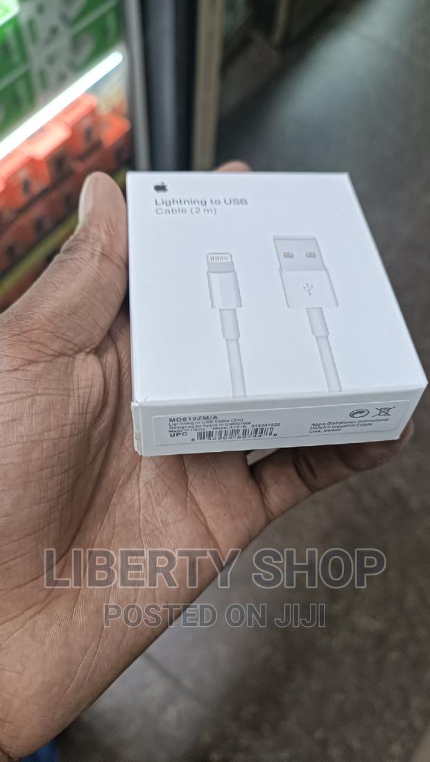 Standard iPhone USB to iPhone Cable - main view