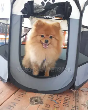 Peticon Foldable Pop-up Dog Play Pen And Cats - Small Size