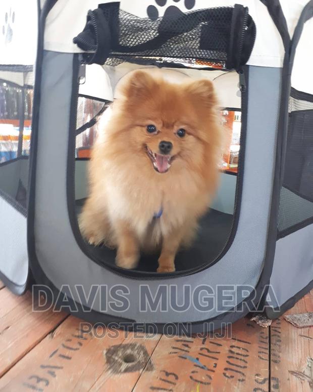 Peticon Foldable Pop-up Dog Play Pen And Cats - Small Size - main view