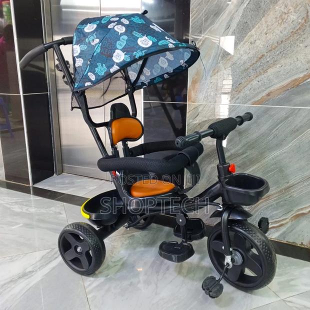 Baby Tricycle With Canopy and Protective Bar - main view