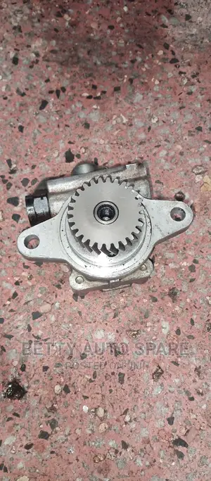 Toyota 1hd Cartilage