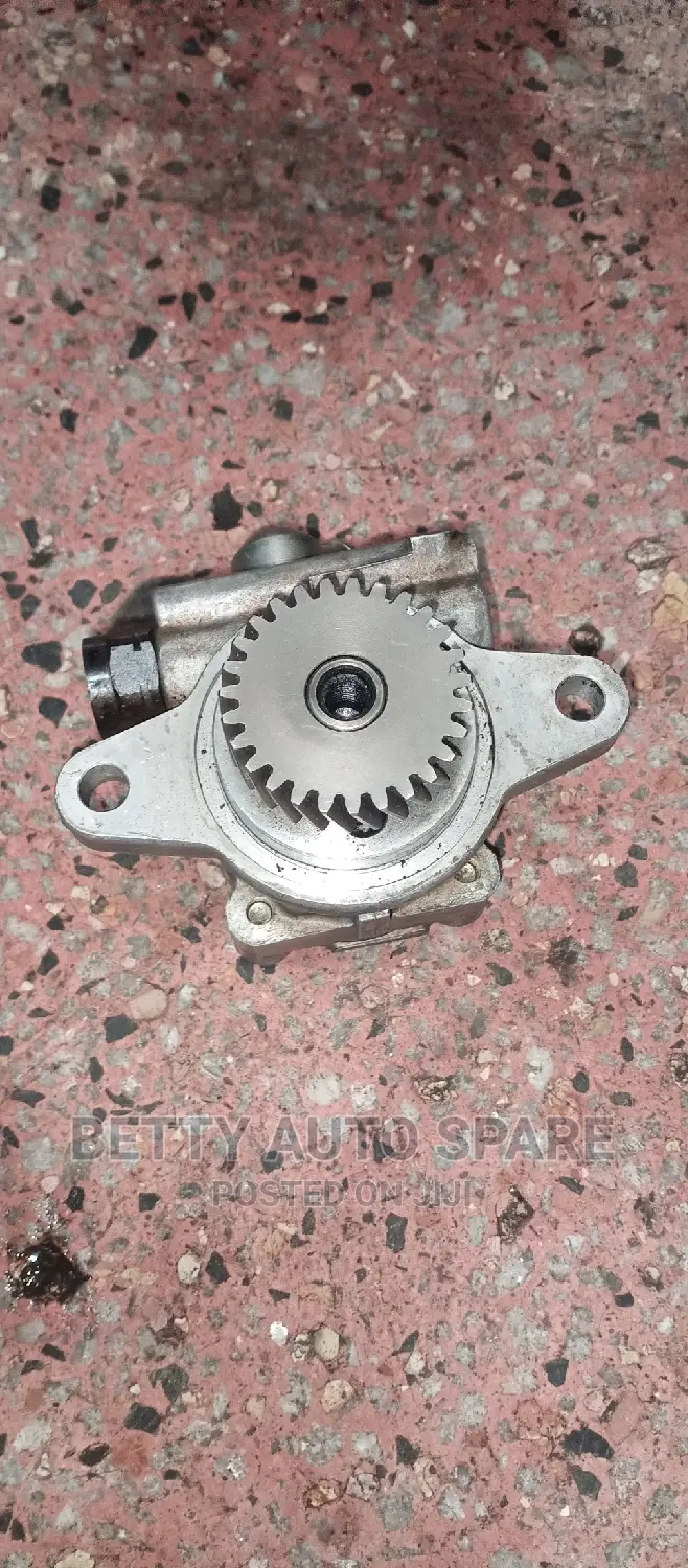 Toyota 1hd Cartilage