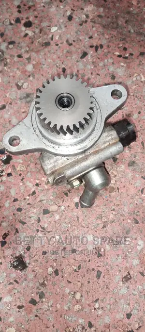 Toyota 1hd Cartilage