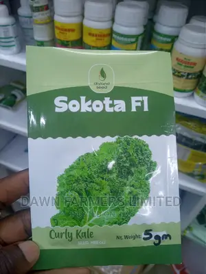 Sokota F1 Curly Kale Hybrid 5g