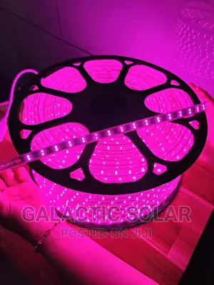 Snakelight Pink 100m