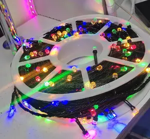 Christmas Lights(50mtrs RGB)