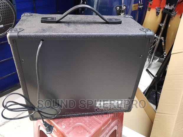 Deviser 8 Inch Guitar Amplifier Model TB-40 - thumbnail 2