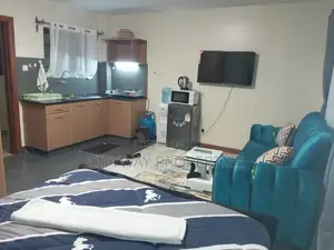Furnished Studio Apartment in Ngara for rent