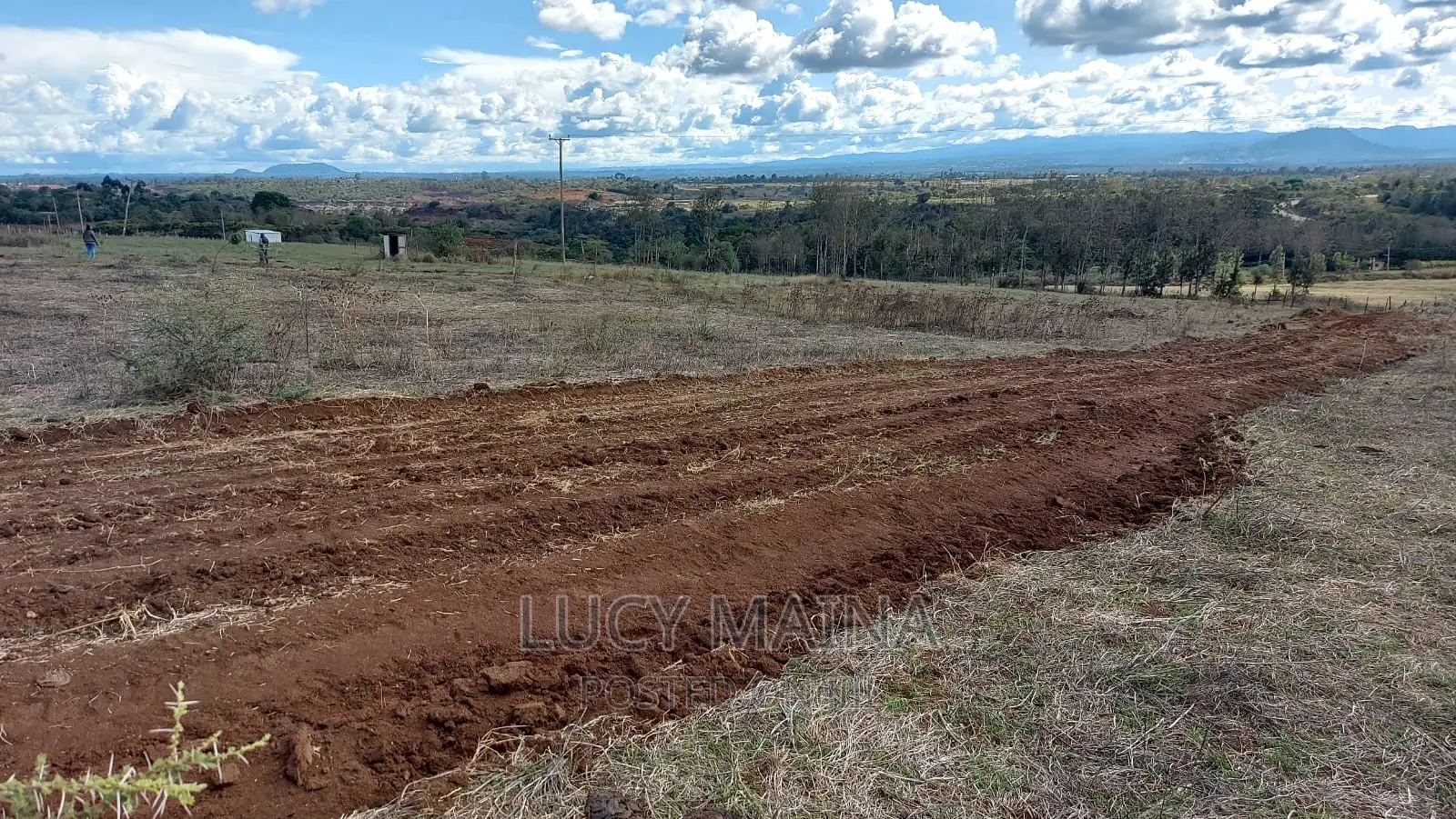50 * 100 Plots in Chaka Town Behind Springs BBQ Restaurant. in Kieni
