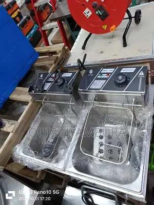 Double Electric Chips Fryer