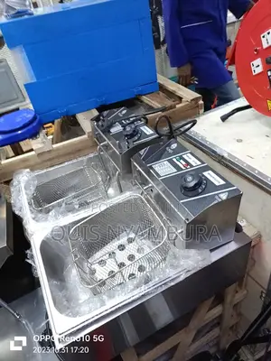 Electric Double Fryer