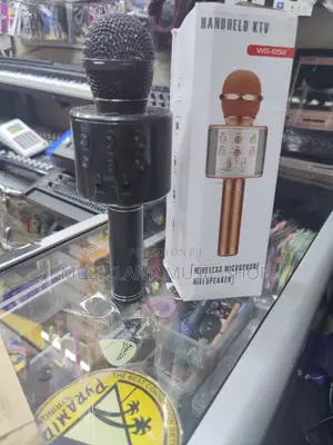 Karaoke Microphone