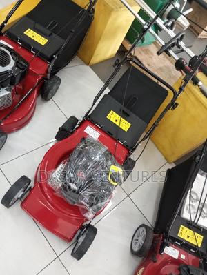 Original Briggs and Stratton 4hp - main view