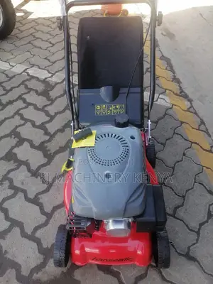 Quality Gasoline Powered Lawn Mower-Hanseatic Brand