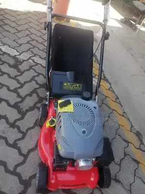 Quality Gasoline Powered Lawn Mower-Hanseatic Brand