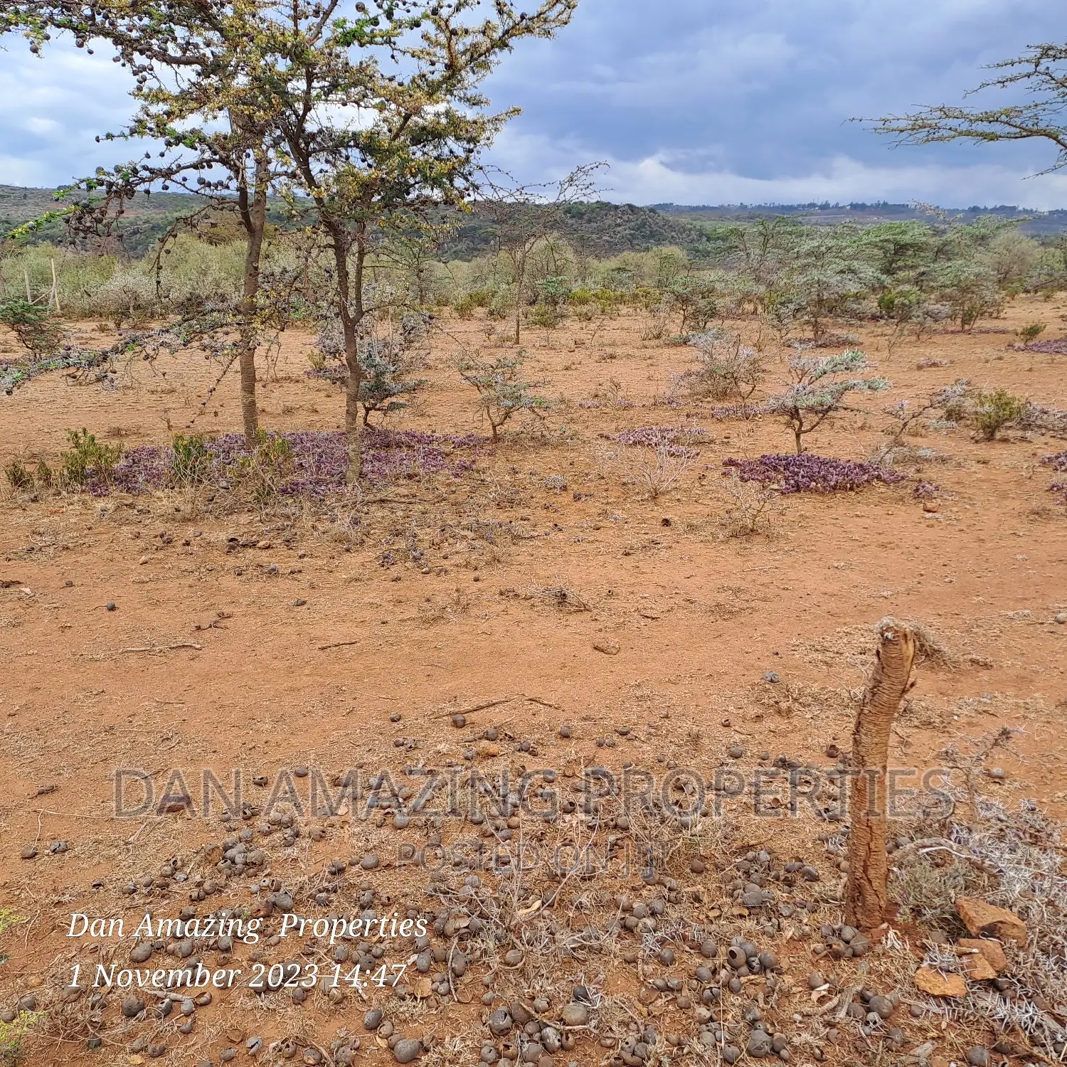 20 Acres for Sale in Ngong Kimuka
