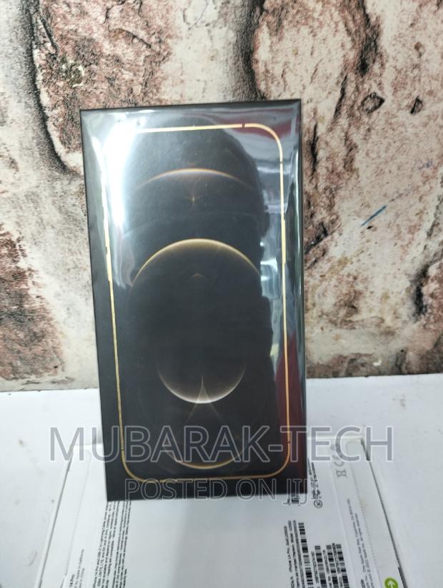 Apple iPhone 12 Pro Max 256 GB Gold - main view