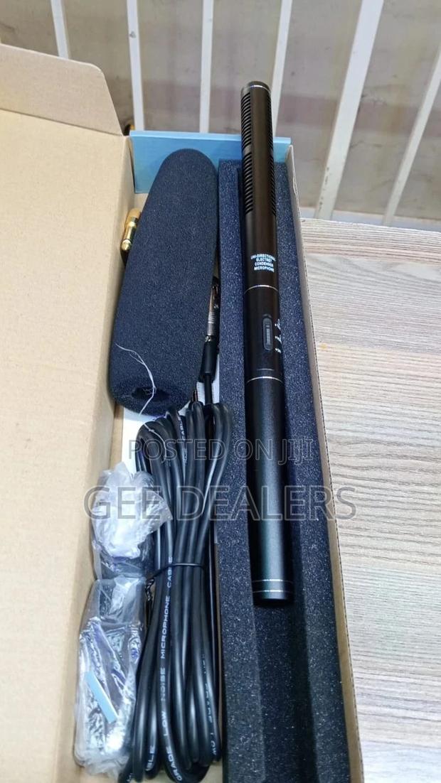 Boom Portable Microphone - main view