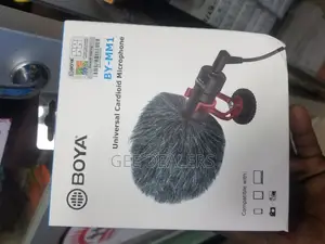 Wired Portable Microphone