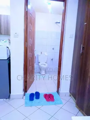 Studio in South B Plainview Road