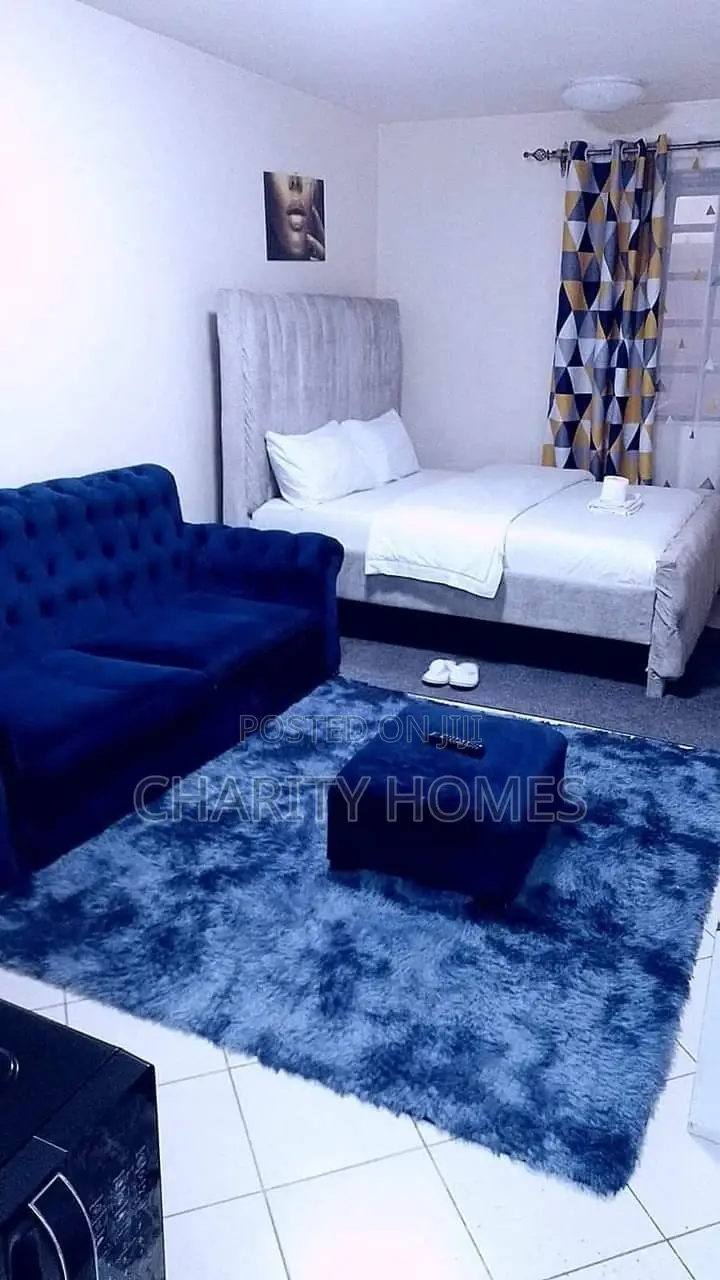 Studio in South B Plainview Road